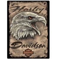 Harley-Davidson Eagle 2 Metalen Bord Met Reliëf LAATSTE STUKS
