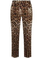 Dolce & Gabbana pantalon fuselé à imprimé léopard - Marron