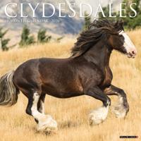 Clydesdales Kalender 2026