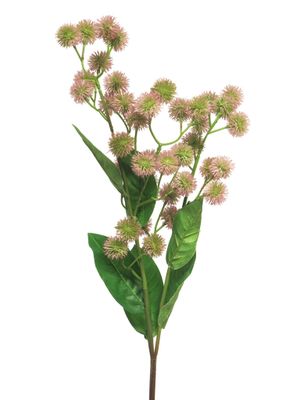 Globe thistle spray pink 79cm