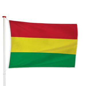 Boliviaanse Vlag