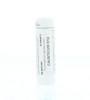 Homeoden Heel Causticum D12 6 Gram