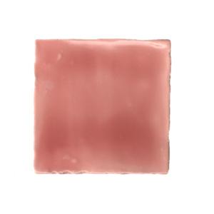Terre d&apos;Azur Porto Tegel 10x10cm Bruin F05