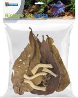 Biotope set betta Superfish - Superfish