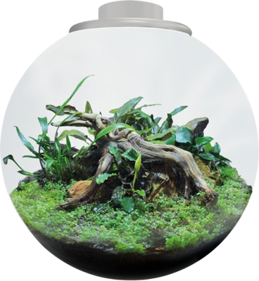 BioArt Bowl 225 wit