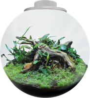 BioArt Bowl 225 wit BioArt Bowl 225 wit