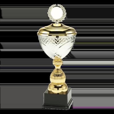 Sportprijzen Leiden Trofee L1710