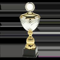 Sportprijzen Leiden Trofee L1710