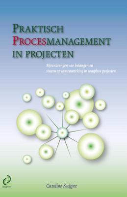 Praktisch procesmanagement in projecten (Paperback)