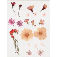 Creativ Company Gedroogde bloemen en bladeren, ca. 19 stuk, lichtroze, 1 doos