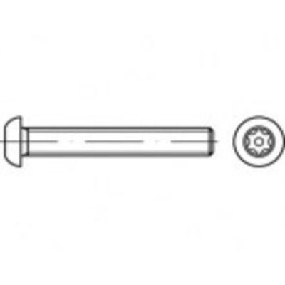 TOOLCRAFT TO-5380212 Veiligheidsschroeven M5 60 mm Binnen-T 88116 RVS A2 100 stuk(s)