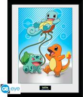 Pokemon Framed Print - Kanto Starters