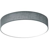 Dimbare LED Plafondlamp Rond 22W Warm Wit 3000K Mat Grijs Aluminium