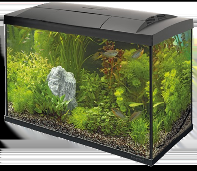 Superfish Start 70 tropical aquarium zwart
