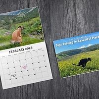 2023 Maandelijks planner A4 8,3 × 11,7 inch Retro Cartoon Klassiek Zachte omslag uitwisbaar Klassiek Maandelijkse tabbladen planner 13 Pagina's voor School Kantoor Reiziger miniinthebox