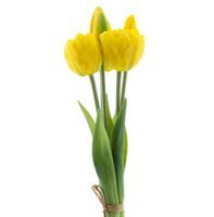 PSO Triumph tulip bundle Sally x5 yellow 29 cm kunstbloem Erutan Avon - Erutan avon