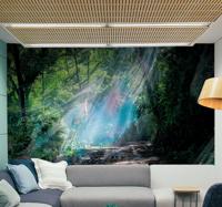 Fotobehang natuur 3d diepte effect bos