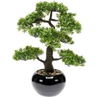 Bonsai boompje Ficus Retusa kunstplant in kunststof pot 47 cm - Kunstplanten - thumbnail