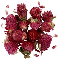 Creativ Company Gedroogde bloemen, rode klaver, l: 1,5-2,5 cm, d 1 - 1,5 cm, ca. 15 gr, 15 gr, paars, 1 doos