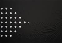 Nature universeel kweekfolie zwart 0.95x5 m