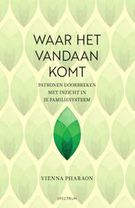 Waar het vandaan komt (Paperback)