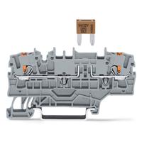 WAGO 2202-1981 Zekeringklem 50 stuk(s)