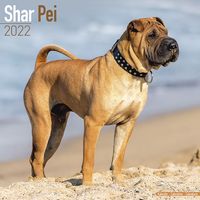 Kalender 2025 Shar Pei
