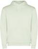 Roly RY1067 Men´s Urban Hooded Sweatshirt - Mist Green 264 - XXL