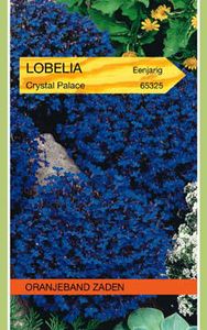 Lobelia