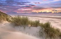 Alexsar Art Tuindoek strand duin 140x90cm