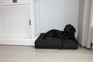 Dog's Companion® Zwart benchkussen 65 x 50 x 10 cm