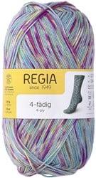 SMC Regia Sokkengaren 4-draads Color 9388