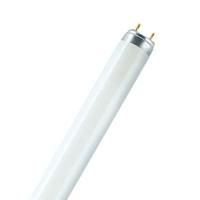 Fluorescerende buis Osram 18 W T8 1300 lm (6500 K)