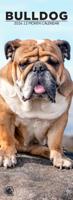 Engelse Bulldog Slimline Kalender 2026