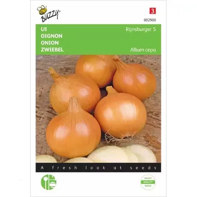 Ui Rijnsburger 5