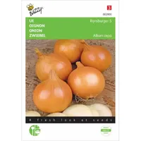 Ui Rijnsburger 5 Ui Rijnsburger 5