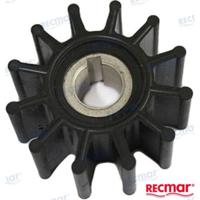 REC3854286 - WAAIER Yamaha