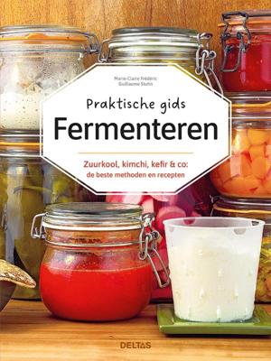 Praktische gids Fermenteren (Paperback)
