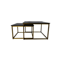 Salontafel Set Finnley - 60/45 - Black wash/antique gold