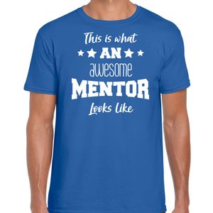 Cadeau t-shirt voor heren - awesome mentor - blauw - docent/leraar/schooljaar bedankje