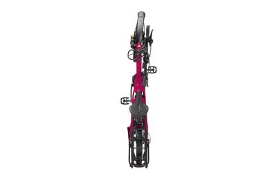 Tern Ebike hsd p10 10sp drogonfruit