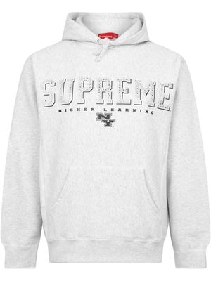 Supreme hoodie Gems 'SS 20' - Gris