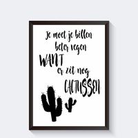 Zwart wit toilet poster cactus en grappige tekst - thumbnail