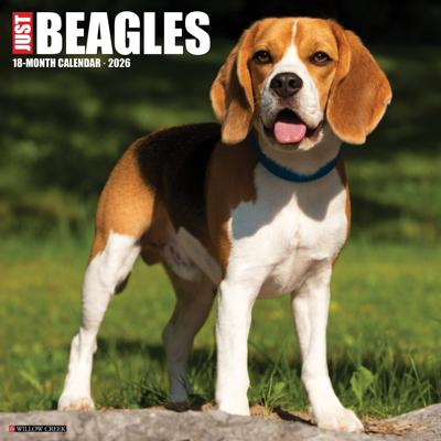Beagle Kalender 2026