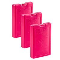 6x stuks 1000 grams koelelementen 22 x 14.5 cm roze