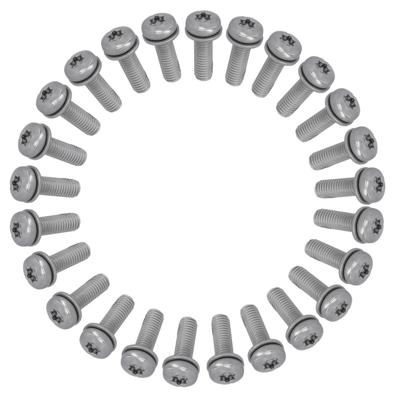 ANP BOUT M5X16 TORX M/PLAAT M/LOCTITE RVS DS A 25