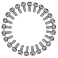 ANP BOUT M5X16 TORX M/PLAAT M/LOCTITE RVS DS A 25