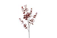 Countryfield eucalyptus cin 94 cm rood