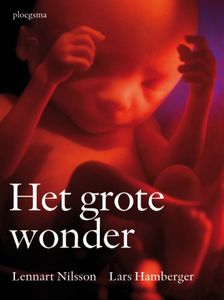 Het grote wonder