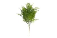 Decostar steker/hang Asparagus S 55 cm groen